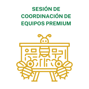 Concienciayarte - Sesión de coordinación de equipos Premium - 42