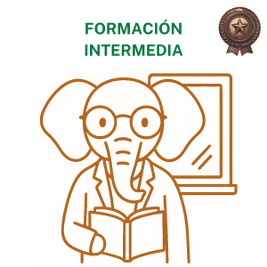 Concienciayarte - Sesión de coordinación de equipos Premium - 10