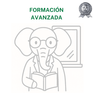 Concienciayarte - Sesión de coordinación de equipos Premium - 11