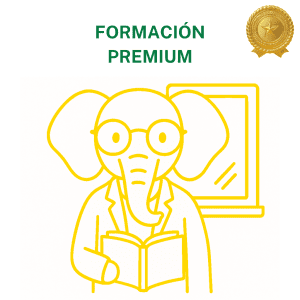 Concienciayarte - Sesión de coordinación de equipos Premium - 12