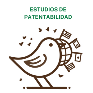 Concienciayarte - Sesión de coordinación de equipos Premium - 13