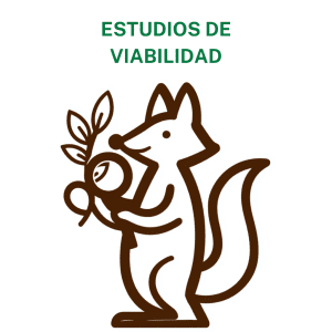 Concienciayarte - Sesión de coordinación de equipos Premium - 14