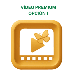 Concienciayarte - Sesión de coordinación de equipos Premium - 29