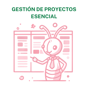 Concienciayarte - Sesión de coordinación de equipos Premium - 35