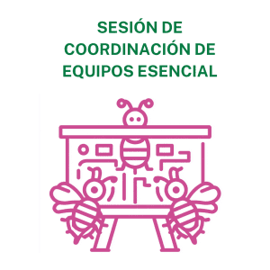 Concienciayarte - Sesión de coordinación de equipos Premium - 39