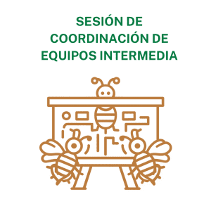 Concienciayarte - Sesión de coordinación de equipos Premium - 40