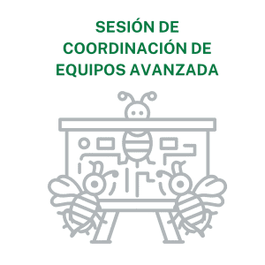 Concienciayarte - Sesión de coordinación de equipos Premium - 41