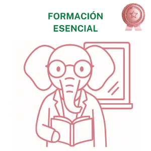 Concienciayarte - Sesión de coordinación de equipos Premium - 9